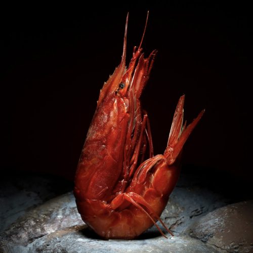 CREVETTES ENTIÈRES CRUES SAUVAGE XL - ROSSO DI MAZARA SICILE (900g)