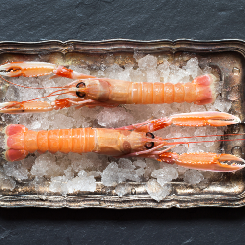 LANGOUSTINES ENTIÈRES SAUVAGES XL - DANEMARK (700g)