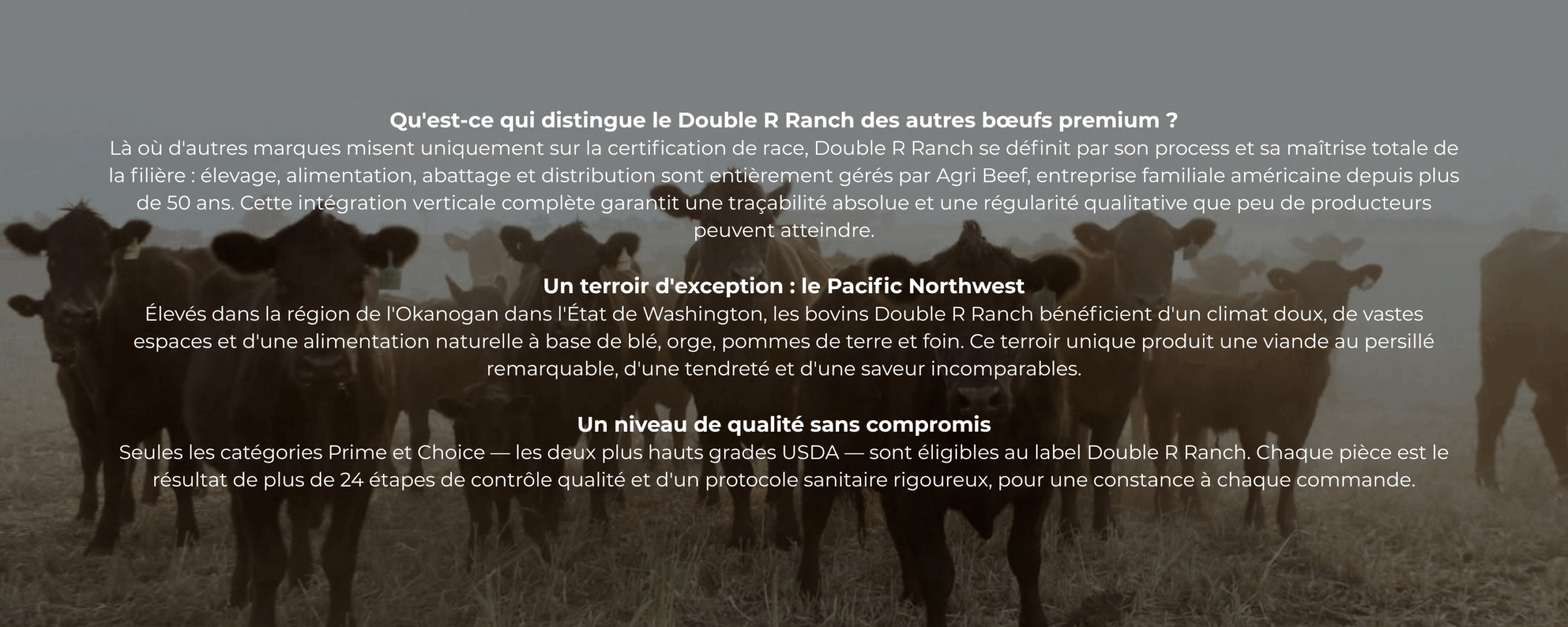 obba-double-r-ranch-beef
